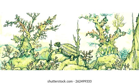 Underwater world - color drawn vector illustration
