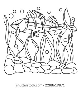 Underwater world. Coloring book page. Perch, seaweed, rocks. Vector illustration