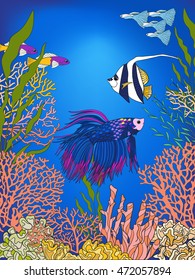 Underwater world coral reef. Corals, fish and seaweeds. Colored vector illustration.