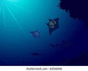 Underwater world with coral reef, sharks and manta ray