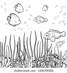Underwater world with coral reefs and sea-horse, outline, vector image