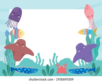 underwater world cute animals seaweeds