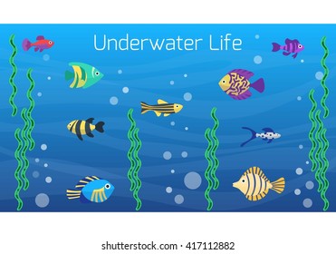 Underwater world. Cute cartoon colorful different fish. Aquarium underwater life. Flat vector icons. Aquarium fish 