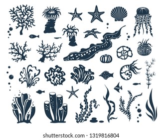 Underwater world design elements collection. Marine wildlife silhuettes set. Seaweed, corals, shells and fishes.