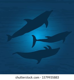 The underwater world with dolphins. Vector illustration