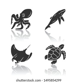 Underwater world drop shadow black glyph icons set. Swimming octopus, squid, turtle, whale. Ocean animals, undersea wildlife. Marine fauna. Aquatic creatures. Isolated vector illustrations