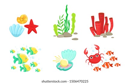 Conjunto de elementos submarinos del mundo, peces tropicales, algas, corales, cangrejos, ilustración vectorial de la cubierta marina