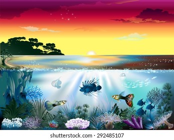The underwater world of fish and plants