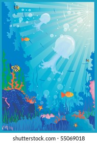 The underwater world of fish and plants