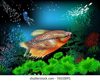 The underwater world of fish and plants