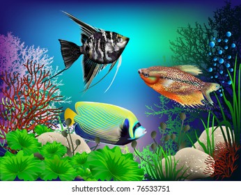 The underwater world of fish and plants