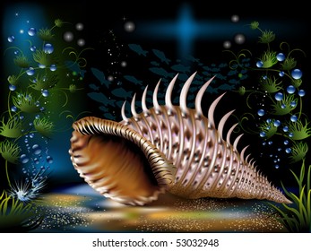 The underwater world of fish,  seashell and plants