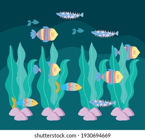 underwater world fishes algae stones