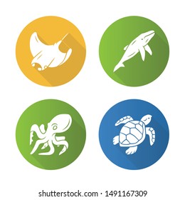 Underwater world flat design long shadow glyph icons set. Swimming octopus, squid, turtle, whale. Ocean animals, undersea wildlife. Marine fauna. Aquatic creatures. Vector silhouette illustration