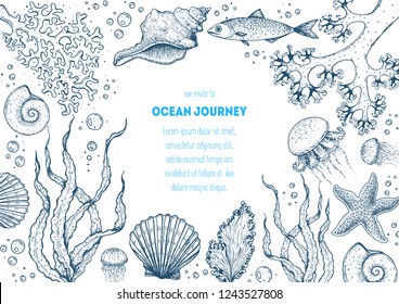 Underwater world hand drawn collection. Sketch illustration. Seaweed, coral, seashells, starfish, jellyfish, fish illustration. Vintage design template. Undersea world collection.