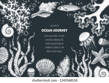 Underwater world hand drawn collection. Sketch illustration. Seaweed, coral, seashells, starfish, jellyfish, fish illustration. Vintage design template. Undersea world collection.