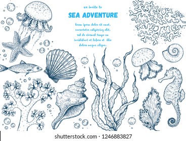 Underwater world hand drawn collection. Sketch illustration. Seaweed, coral, seashells, starfish, jellyfish, fish illustration. Vintage design template. Undersea world collection.