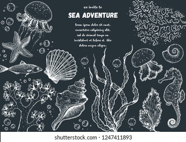 Underwater World Hand Drawn Collection. Sketch Illustration. Seaweed, Coral, Seashells, Starfish, Jellyfish, Fish Illustration. Vintage Design Template. Undersea World Collection.