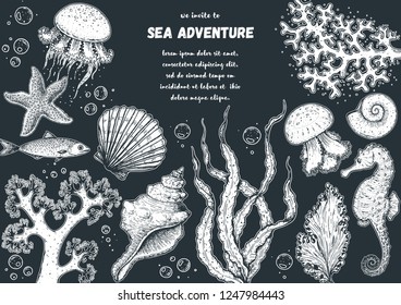 Underwater world hand drawn collection. Sketch illustration. Seaweed, coral, seashells, starfish, jellyfish, fish illustration. Vintage design template. Undersea world collection.