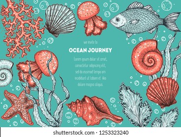 Underwater world hand drawn collection. Color illustration. Seaweed, coral, seashells, starfish, jellyfish, fish illustration. Vintage design template. Undersea world collection.