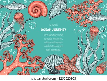 Underwater world hand drawn collection. Color illustration. Seaweed, coral, seashells, starfish, jellyfish, fish illustration. Vintage design template. Undersea world collection.