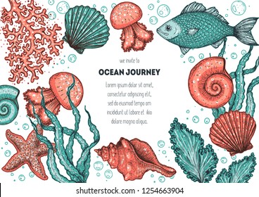 Underwater world hand drawn collection. Color illustration. Seaweed, coral, seashells, starfish, jellyfish, fish illustration. Vintage design template. Undersea world collection.