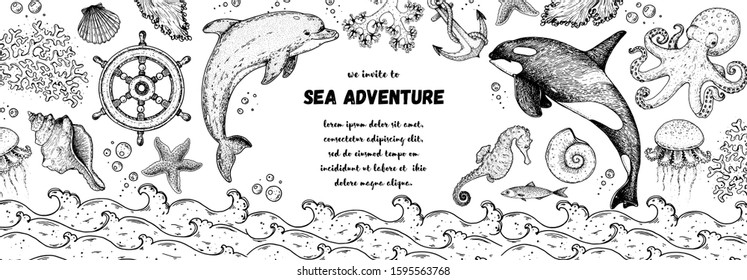 Underwater world hand drawn collection. Sketch illustration. Seaweed, coral, seashells, starfish, jellyfish, fish, octopus, dolphin, whale illustration. Undersea world collection. Nautical set.