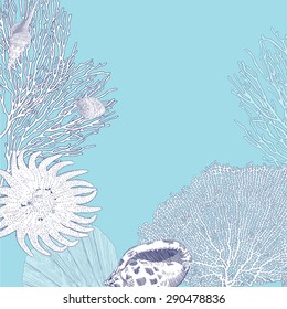 Underwater world. Hand drawn seashell, starfish and corals. Vector blue background with copy place text.