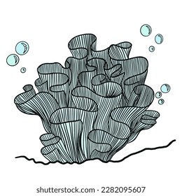 Underwater world illustration. Algae, corals, shells for military themes. Secrets of the ocean and the bottom of the sea.
