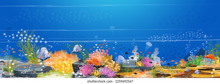 Underwater World - Marine Life, Deep Water, Coral Reefs, Sea Anemones, Rocks And Fish On The Blue Sea Floor, Marine Life -  Panoramic Images For Electronic Vector Design, Posters, Vectors
