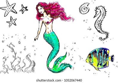 Underwater world: mermaid, sea fish, sea stars, sea horse, seaweed