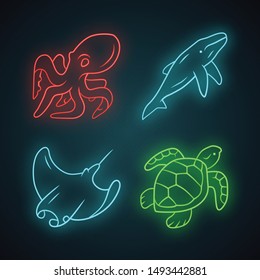 Underwater world neon light icons set. Swimming octopus, squid, turtle, whale. Ocean animals, undersea wildlife. Marine fauna. Aquatic creatures. Glowing signs. Vector isolated illustrations