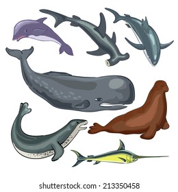 Underwater world of ocean