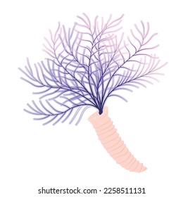 The underwater world of the ocean. Diving, Aquarium plant. White tiny tube worm  scene in marine reef aquarium. Sabellidae Vector stock illustration. Isolated on a white background.