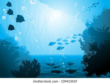 underwater world, oceanic fishes