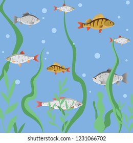 Underwater world pattern. Fishes swim between green plants. Crucian carp, roach, perch, ide. Vector illustration 
