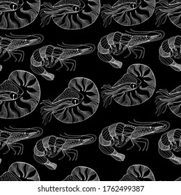 Unterwasser-Weltbild. Garnelen, Nautilus, Weichtiere mit kleinen Details. einzelne Illustration, Seitenansicht, Angeln. Fischrestaurant, Logo. Handzeichnung für Kinder und Erwachsene.