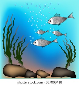 The underwater world: plants, fishes, bubbles