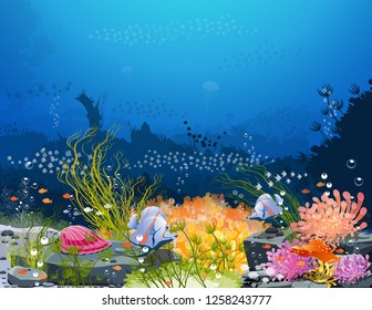 Underwater world - real underwater imagery and live underwater life. The beauty of marine life, seaweed fish and beautiful and colorful reefs - Vector
