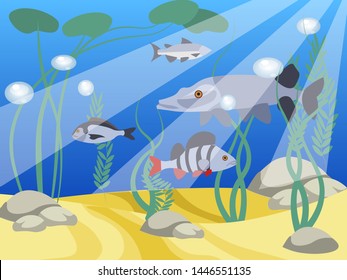 Underwater world, a reservoir. Animals and nature of the lake. In minimalist style Cartoon flat vector Illustration