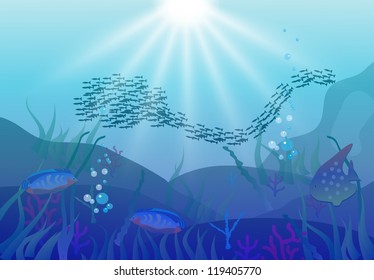 underwater world of the sea
