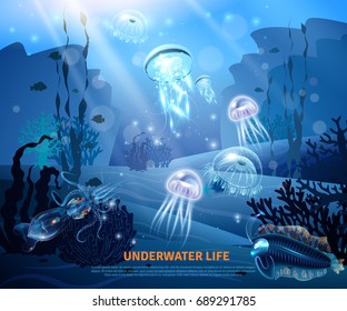 Underwater world sea life poster with transparent colorful jellyfishes coral reef sun rays misty blue background vector illustration  