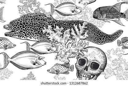 Underwater world. Seamless pattern kitchen design. Coral decorative fish, corals and human skull. Illustration of seabed. Ocean floor. Vector. Vintage engraving. Black and white. Hand Sketch