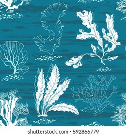 Underwater world. Seamless vector pattern with algae and fishes.