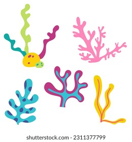 Underwater world seaweed coral