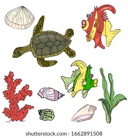 underwater world set hand drawing. Fish, shells, corals, algae, turtle. Elements for marine design. Outline, sketch.