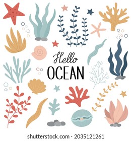 Underwater world. A set of seaweed, corals, shells, a pearl, a starfish. Vector marine illustration