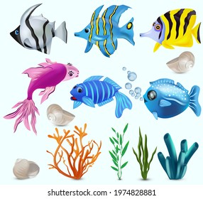 Underwater world, Tropical fish. Addis butterfish, French angelfish, Reef fish, starfish, seaweed, corals, shell. Cartoon character. Vector illustration