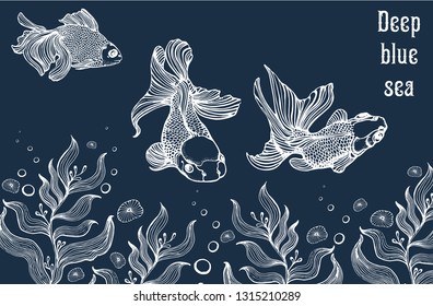 underwater world, vector, hand drawing, jellyfish corals, fish
