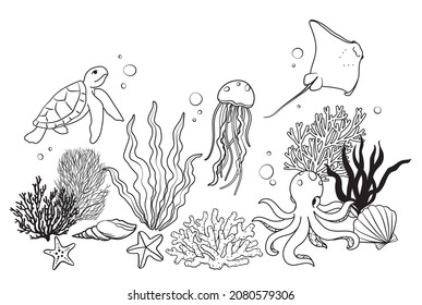 Underwater world. Water marine animals and plants.